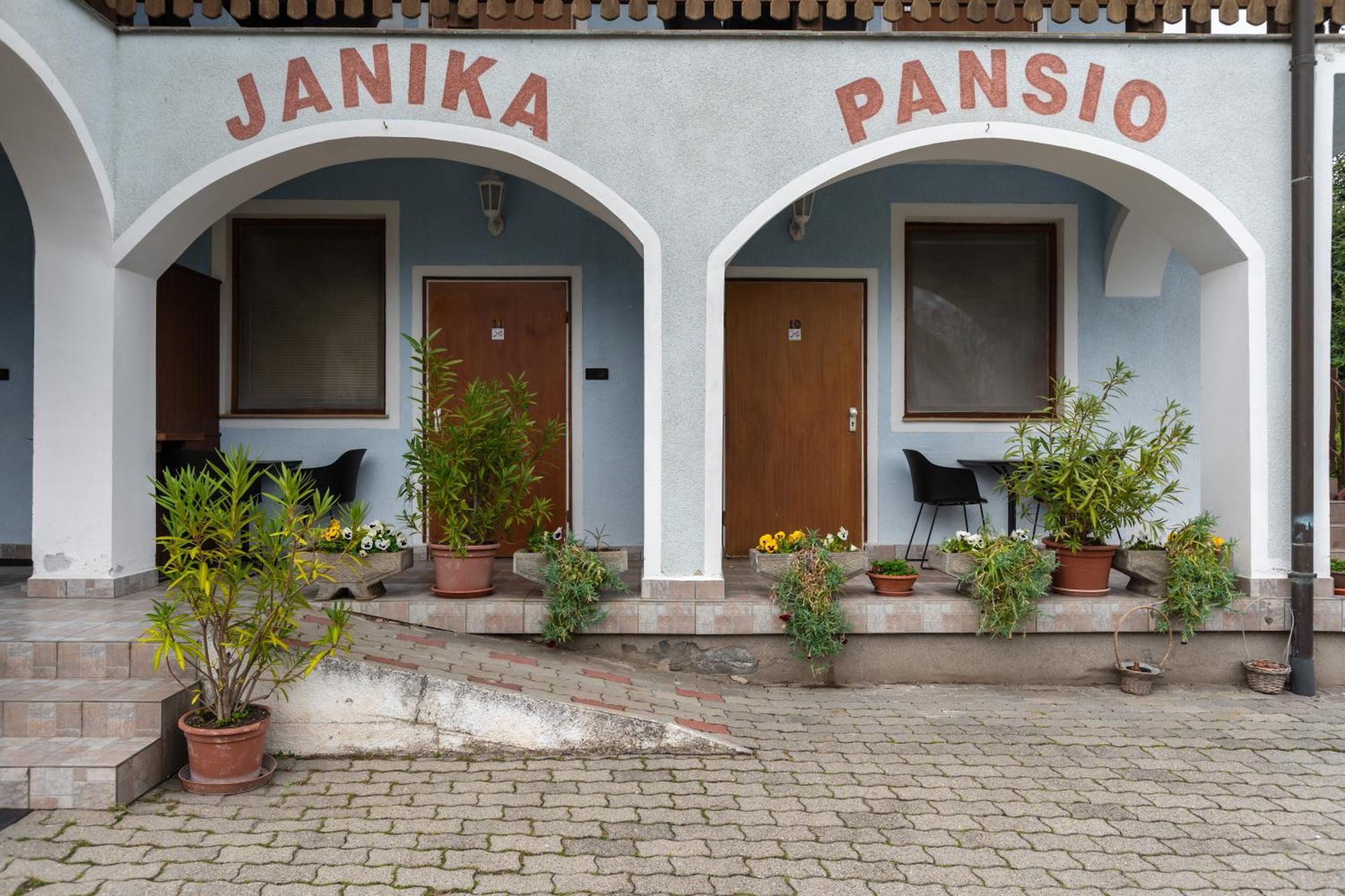 Janika Pension ボニャルツバシュ エクステリア 写真